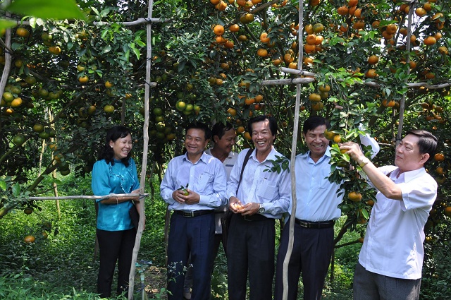 Du lịch nông nghiệp níu chân du khách