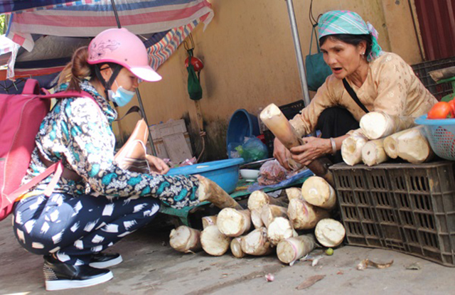 Sản phẩm măng bói đang rất được ưa chuộng