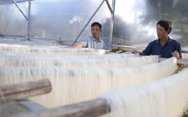 Công đoạn phơi miến trong mái che nilon