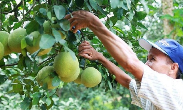 Các mô hình sẽ được phát triển theo hướng an toàn