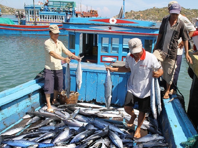 Các THT giúp ngư dân yên tâm sản xuất