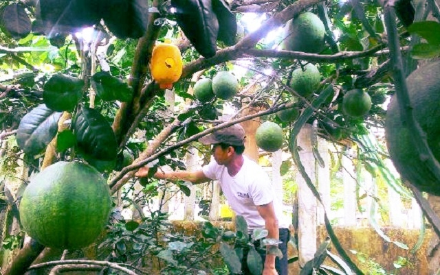 Sản xuất khoa học gắn với ATLĐ là hướng đi bền vững