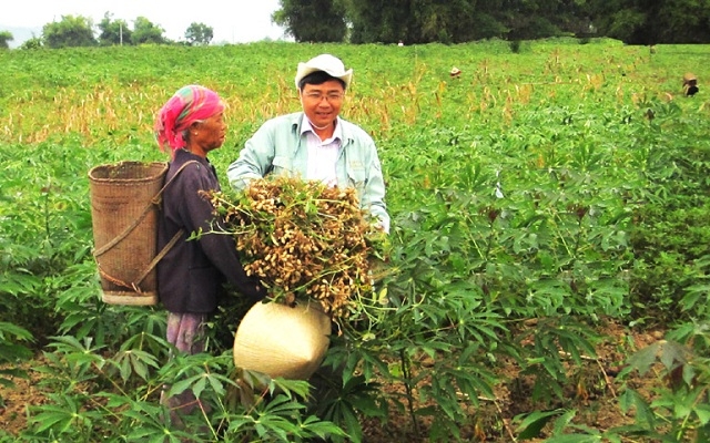 Các HTX có vai trò đặc biệt quan trọng