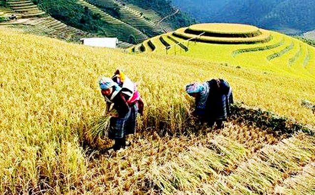 Các sản phẩm thế mạnh được chú trọng phát triển theo hướng an toàn