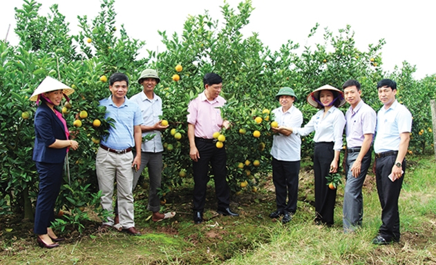 Các HTX ở Hải Dương đóng góp tích cực vào phát triển kinh tế xã hội của tỉnh