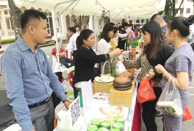 Sản xuất theo chuỗi giá trị, doanh thu các hợp tác xã tăng 15 - 20% (Ảnh Internet)