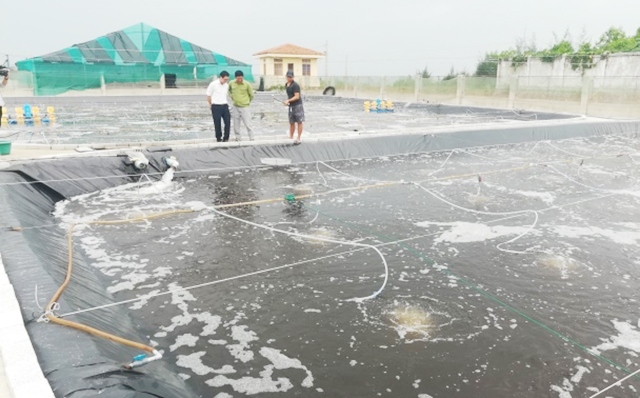 Nuôi trồng thủy sản cũng sẽ được huyện thúc đẩy theo hướng an toàn