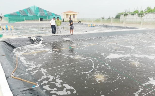 Nuôi trồng thủy sản cũng sẽ được huyện thúc đẩy theo hướng an toàn