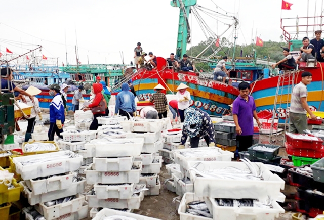 Quỳnh Lưu rất giàu thế mạnh về đánh bắt thủy sản