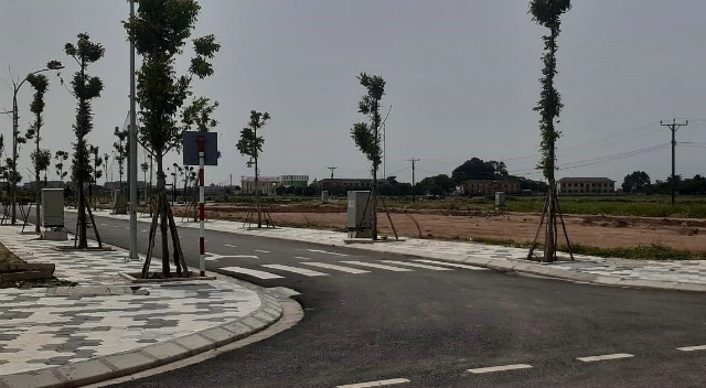 Đất nền là sản phẩm chủ đạo được nhiều nhà đầu tư tìm kiếm nhất năm 2020 (Ảnh: Internet)