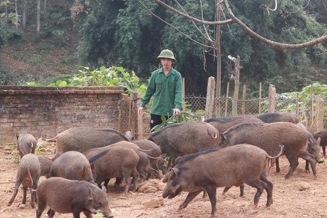 Mô hình của HTX đã giải quyết bài toán môi trường
