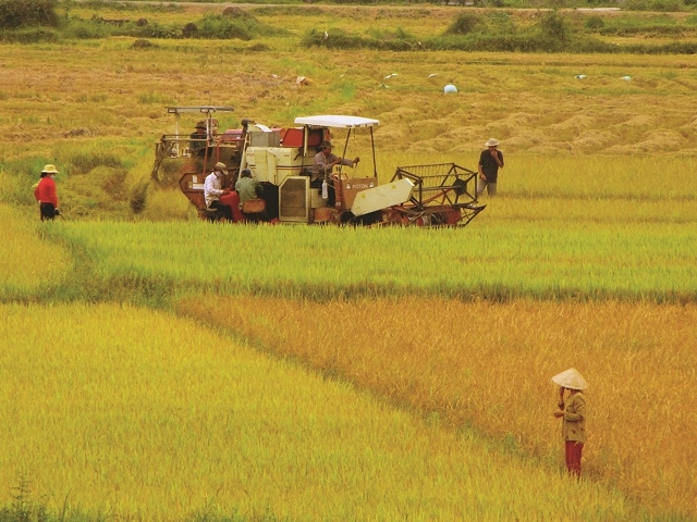 HTX đẩy mạnh cơ giới hóa, chú trọng an toàn sản xuất