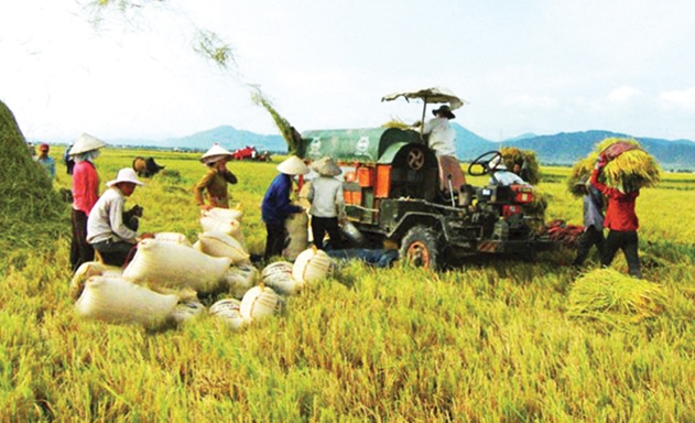 Tích tụ ruộng đất giúp cho các HTX phát triển và thúc đẩy chương trình xây dựng NTM nhanh và bền vững