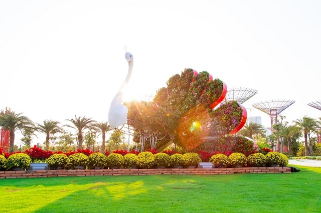 Tiểu cảnh chim công với sự kết hợp của hàng nghìn giỏ hoa đủ sắc màu