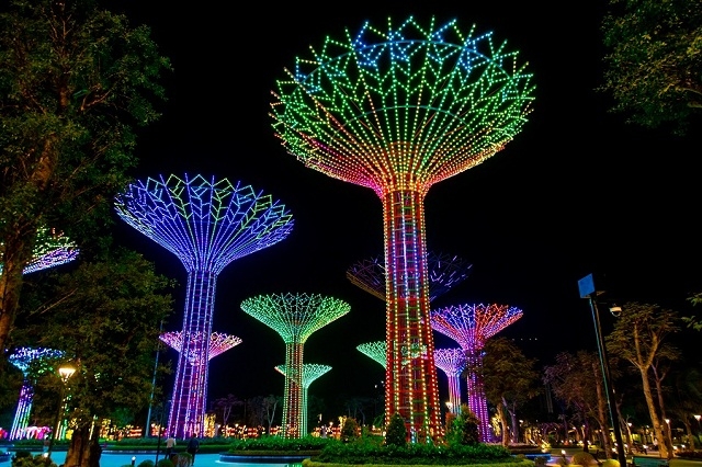 Công viên Ánh sáng lớn nhất Đông Nam Á tại Vinhomes Grand Park với 15 cây ánh sáng khổng lồ rực rỡ sắc màu
