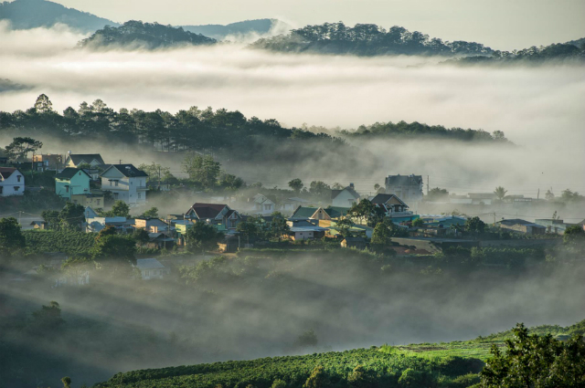 Tam Đảo luôn ngập tràn một màu xanh mát của cây cỏ, núi rừng (ảnh sưu tầm)