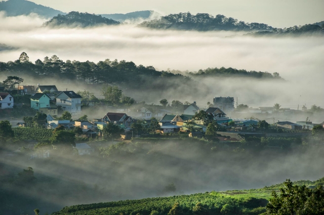 Tam Đảo luôn ngập tràn một màu xanh mát của cây cỏ, núi rừng (ảnh sưu tầm)