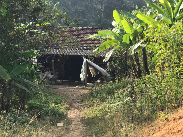 Trước đây khi chưa tham gia trồng nghệ hữu cơ, gia đình ông Luyến rất khó khăn, sản phẩm trồng ra phải đem ra chợ bán