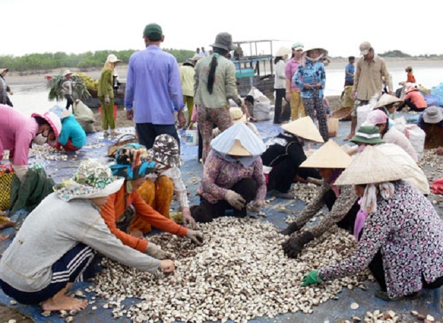 Người dân Bến Tre thực hiện tiêu chí bảo tồn môi trường trong khai thác thủy sản