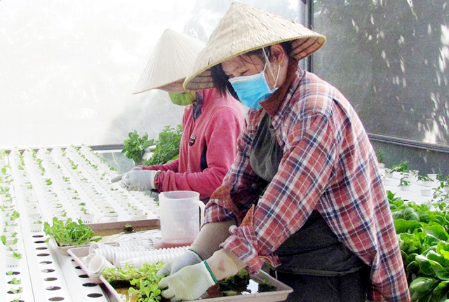 HTX đang đẩy mạnh khoa học - kỹ thuật để đón đầu nông nghiệp 4.0, bắt kịp xu hướng thị trường