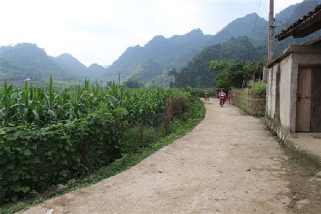 Môi trường nông thôn xã Triệu Ẩu được cải thiện