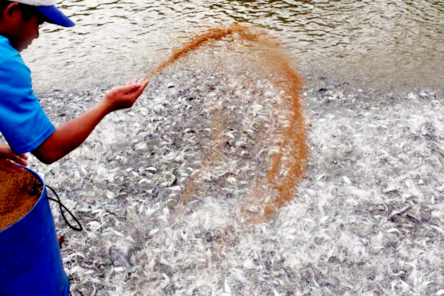 HTX đang chú trọng sản xuất an toàn để đảm bảo giá trị bền vững