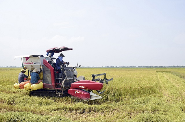 Ứng dụng khoa học và nâng cao ý thức giúp hạn chế tai nạn lao động