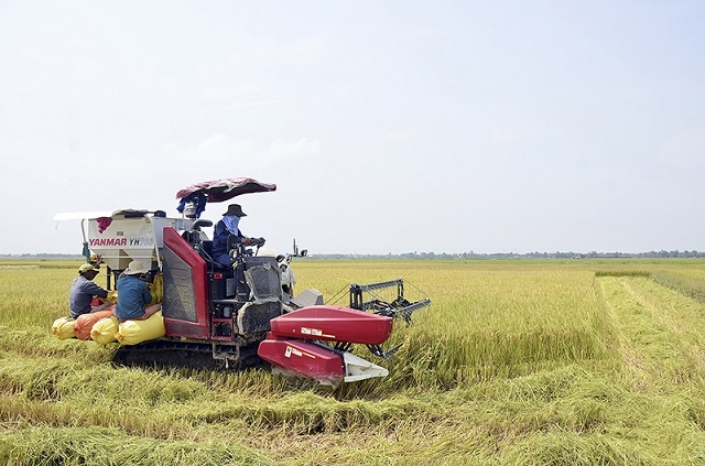 Ứng dụng khoa học và nâng cao ý thức giúp hạn chế tai nạn lao động