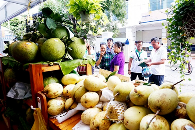 Việc phát triển thương hiệu cho HTX, tổ hợp tác cũng được các địa phương tỉnh Bình Định đặc biệt quan tâm