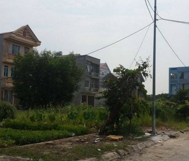 Nhiều sai phạm trong quản lý sử dụng đất tại tỉnh Phú Thọ (Ảnh: Interntet)