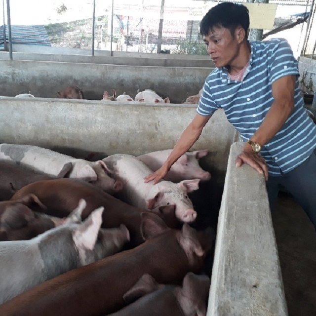 HTX đã thực hiện triệt để các biện pháp an toàn sinh học trong chăn nuôi