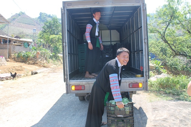 Anh Vàng A Sa mua một xe tải để vận chuyển rau của cả tổ hợp tác về giao cho siêu thị BigC Hà Nội