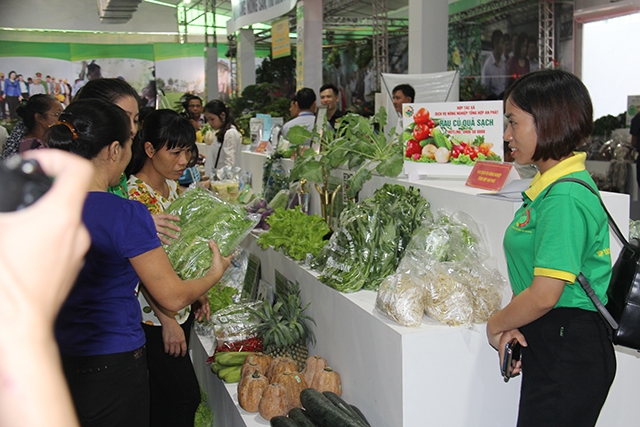 Để kinh tế tập thể, HTX phát triển rất cần sự chung tay của cả Nhà nước, nhà nông và DN trong liên kết tiêu thụ sản phẩm