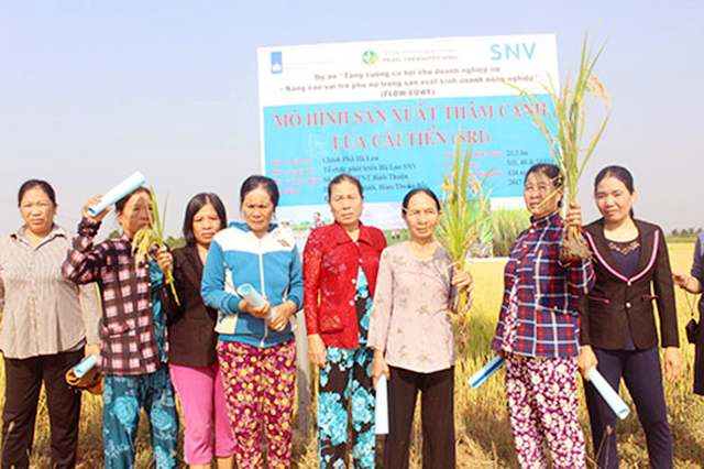 HTX đang gặt thành công nhờ sản xuất an toàn