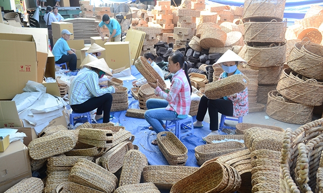 Kinh tế tập thể, HTX được đánh giá mang lại hiệu quả kinh tế và tạo việc làm cho người lao động