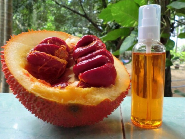 Sản phẩm dầu gấc của HTX