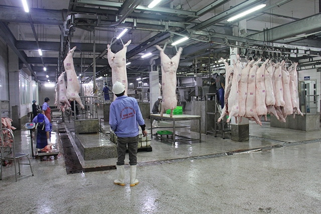 Nhiều doanh nghiệp, HTX đầu tư thiết bị công nghệ cao trong chế biến