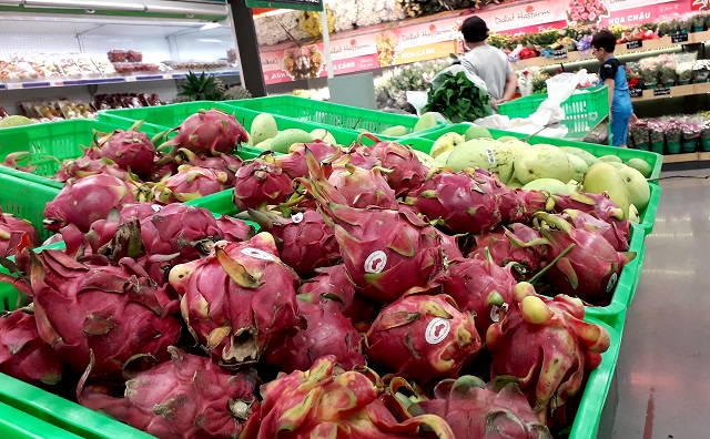 Trái thanh long cần chế biến tốt hơn thay vì chờ “giải cứu”