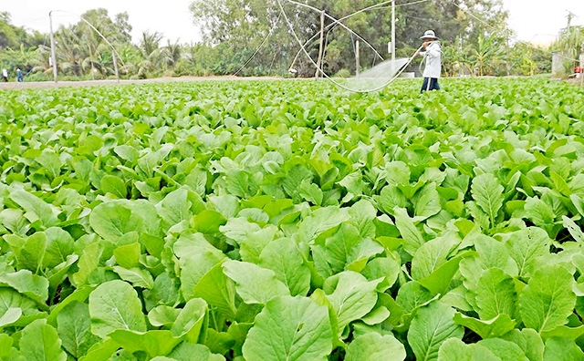 Sản xuất hiện đại gắn với ATLĐ ngày càng được các HTX chú trọng