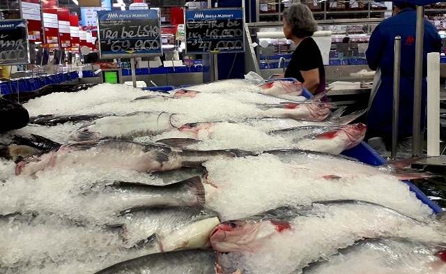 Một số doanh nghiệp đang tính đến việc mang cá tra “hồi hương”