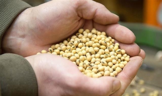 Trung Quốc miễn thuế bổ sung đối với 696 loại hàng hóa nhập khẩu từ Mỹ (Ảnh Internet)