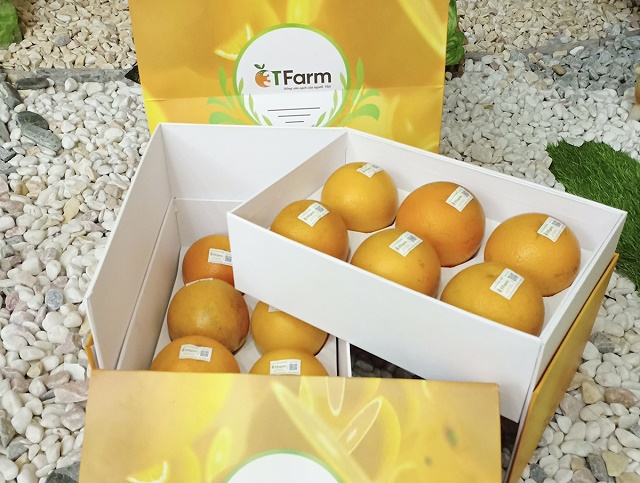Sản phẩm cam an toàn của HTX
