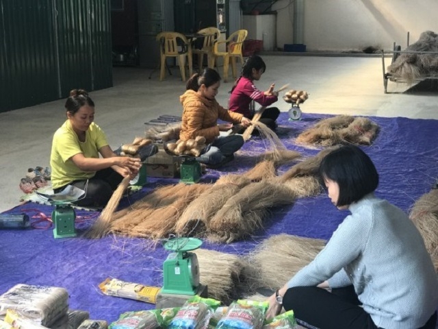 Công nhân đóng gói sản phẩm miến dong tại HTX