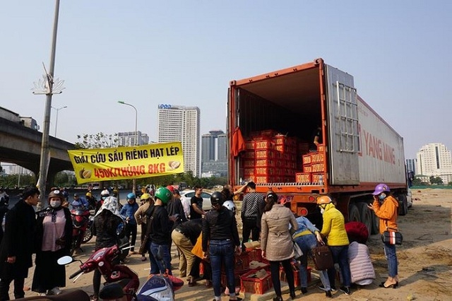 Hàng loạt mặt hàng nông sản, trong đó có sầu riêng đang được kêu gọi giải cứu (Ảnh: Internet)