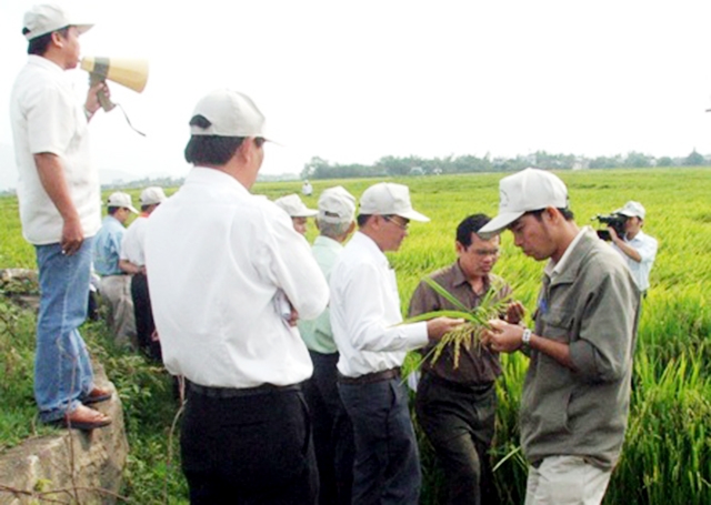 HTX đang có đóng góp tích cực trong phát triển kinh tế - xã hội địa phương