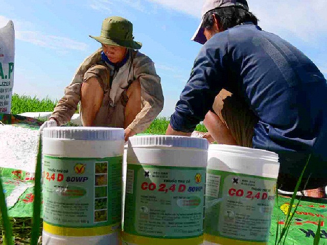Các doanh nghiệp cần hướng dẫn nông dân sử dụng thuốc BVTV có trách nhiệm (Ảnh: Internet)