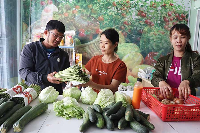 An Khê đang dành nhiều nguồn lực để thúc đẩy phát triển HTX