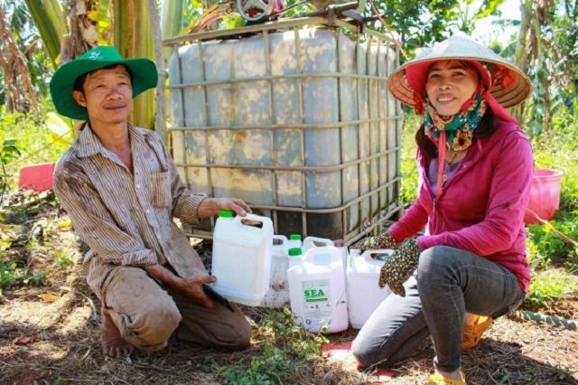 HTX dùng chế phẩm sin‌h học để chăm bón sầu riêng