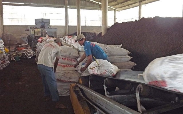 Các trang trại tận dụng chất thải chăn nuôi phục vụ sản xuất