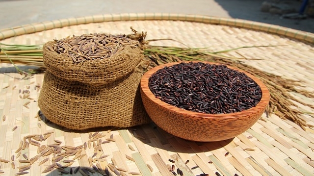 Gạo đen là loại gạo quý, giàu chất dinh dưỡng, tốt cho sức khỏe